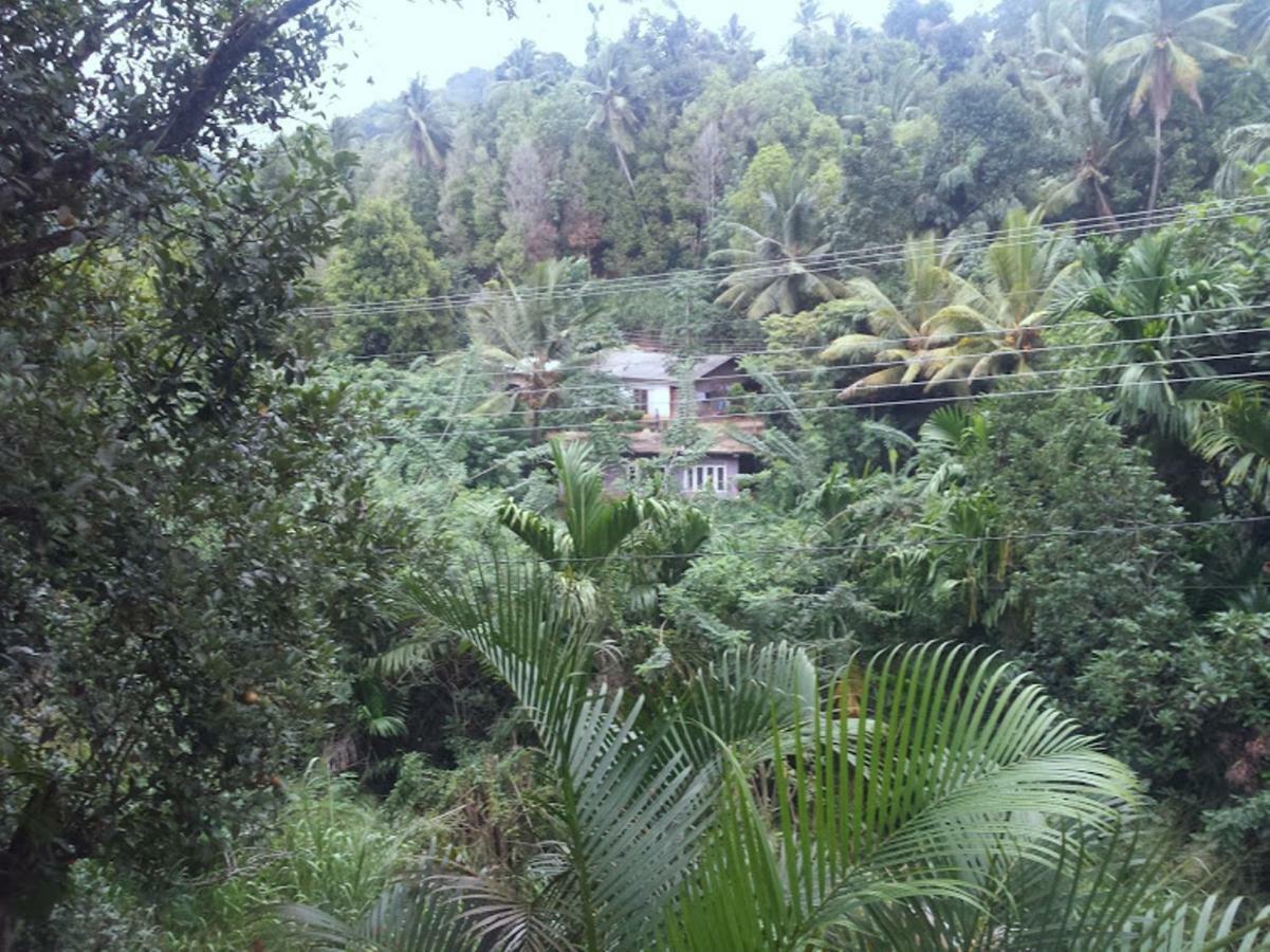 Greenwood Kandy Homestay מראה חיצוני תמונה